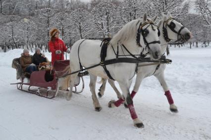 Москва. Катание на саня в парке.