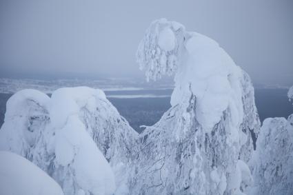 Пермь. Зимний лес в Пермском крае.