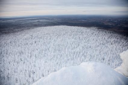 Пермь. Зимний лес в Пермском крае.