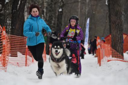 Москва. Соревнования `Московская метель`  в рамках фестиваля ездового спорта `Добрая лапа`в Сокольниках.