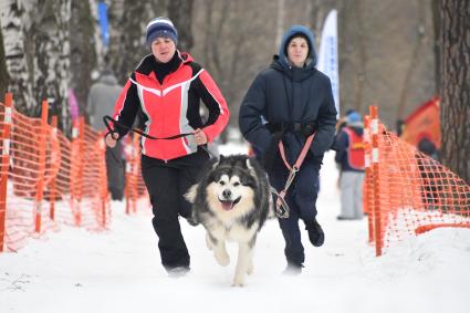 Москва. Соревнования `Московская метель`  в рамках фестиваля ездового спорта `Добрая лапа`в Сокольниках.