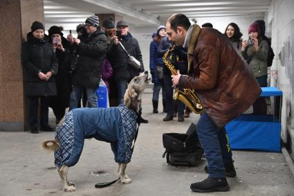 Москва. Уличный музыкант с собакой в подземном переходе