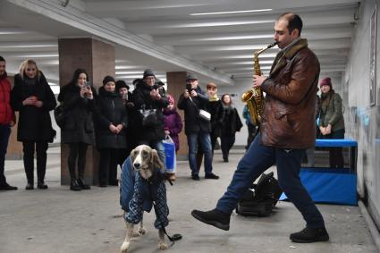 Москва. Уличный музыкант с собакой в подземном переходе