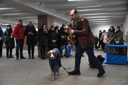 Москва. Уличный музыкант с собакой в подземном переходе