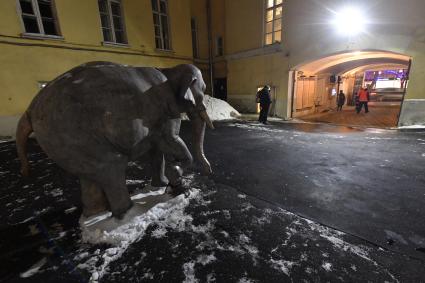 Москва.  Статуя `Слоненок`во дворе Государственного музея народов востока на Никитском бульваре.