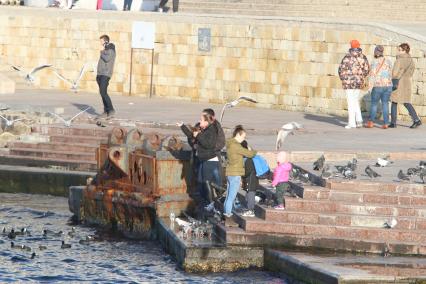 Крым, Севастополь. Горожане кормят чаек на набережной города.