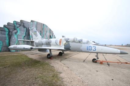 Крым, Бельбек.  L-39 `Albatros `  чехословацкий учебно-боевой самолет
 оставшиеся от Украинской армии.