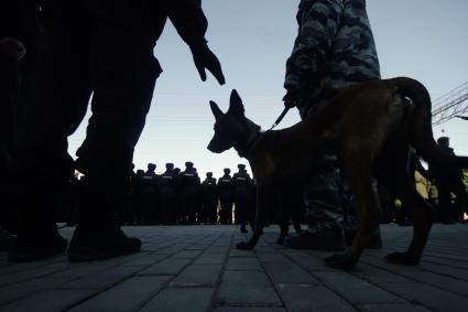 Екатеринбург. Прибытие поезда с эшелоном \'Сирийский перелом\', с трофейной техникой сирийских террористов на железнодорожный вокзал. На фото полицейский-кинолог с служебной собакой