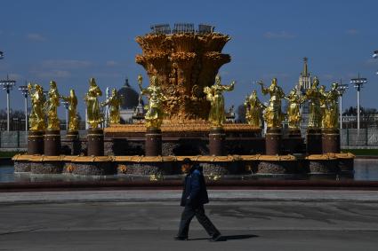 Москва. Фонтан  `Дружба народов` на ВДНХ после реставрации.