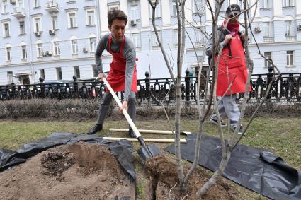 Москва.   Певец Марк Тишман во время общегородского субботника на Никитском бульваре  сажает кусты сирени.