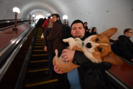 Москва. Мужчина с собакой на эскалаторе московского метрополитена.