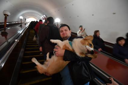 Москва. Мужчина с собакой на эскалаторе московского метрополитена.