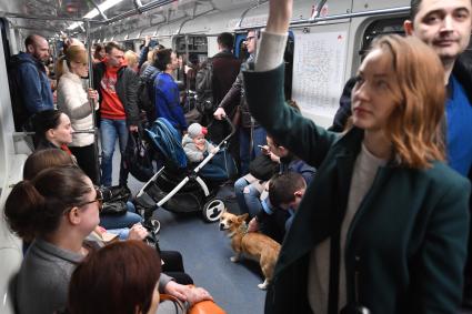 Москва. Мужчина с собакой в вагоне поезда московского метрополитена.