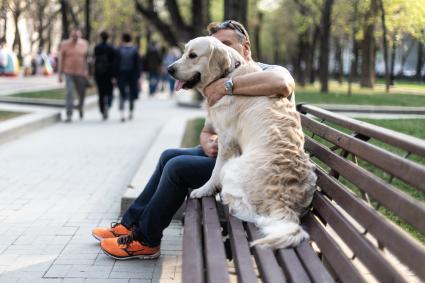 Москва.  Мужчина сидит на скамейке с собакой породы лабрадор.