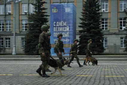 Екатеринбург. День Победы. Кинологи с служебными собаками и саперы обследуют площадь 1905 года, где пройдет парад в честь 74-й годовщины победы в Великой Отечественной войны