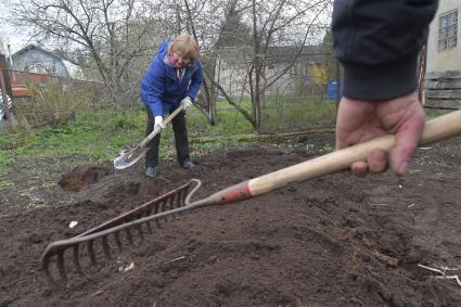 Московская область. Работы в огороде на приусадебном участке.