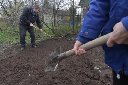 Московская область. Работы в огороде на приусадебном участке.