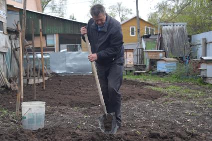 Московская область. Работы в огороде на приусадебном участке.