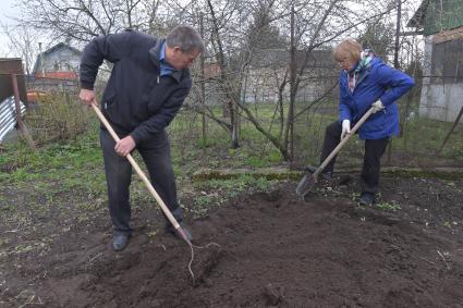 Московская область. Работы в огороде на приусадебном участке.