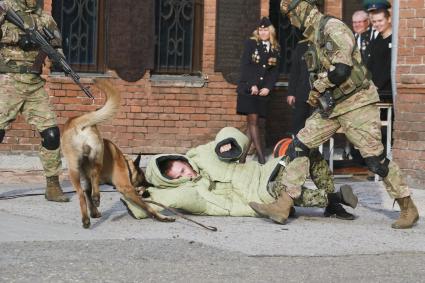 Барнаул. Показательные выступления во время празднования Дня пограничника.