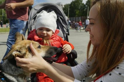 Екатеринбург. Семейный фестиваль \'ЛапкиFEST\' в рамках которого можно познакомиться с животными из приюта и при желании забрать их к себе домой