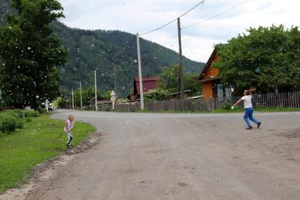 Горный Алтай, село Анос. Ребята играют на сельской улице.