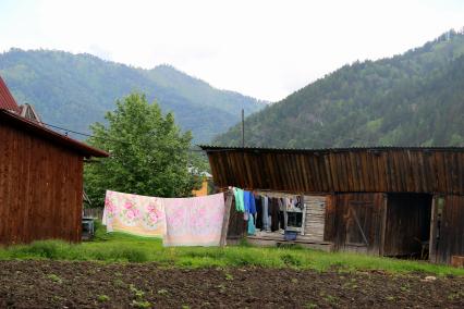 Горный Алтай, село Анос. Белье сушится на веревку во дворе.
