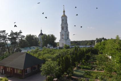 Московская область. Вид на колокольню  Николо-Берлюковского  мужского монастыря.