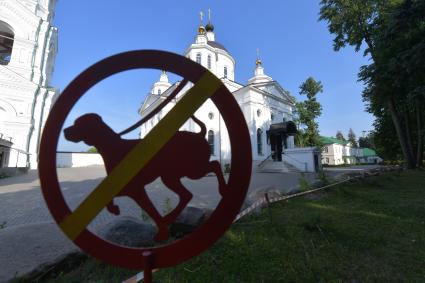 Московская область.  Вид на храм Христа Спасителя  Николо-Берлюковского  мужского монастыря.