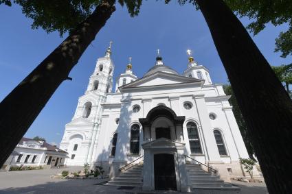 Московская область.  Вид на храм Христа Спасителя  Николо-Берлюковского  мужского монастыря.