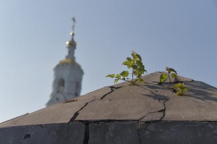 Московская область. Вид на колокольню Николо-Берлюковского мужского монастыря.