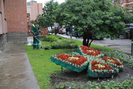 Красноярск. Сотрудник ЖКХ косит траву.