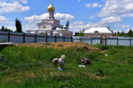 Московская область, Новофедоровское.  На хозяйственной территории Троице-Одигитриевской  Зосимовой  пустыни.