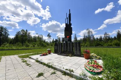 Московская область, Новофедоровское.  Памятник воинам, погибшим в боях Великой Отечественной Войны на территории Троице-Одигитриевской  Зосимовой  пустыни.