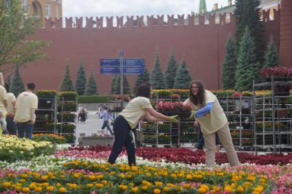 Москва. Подготовка к ежегодному фестивалю цветов в ГУМе.