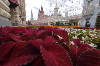 Москва. На ежегодном фестивале цветов в ГУМе.