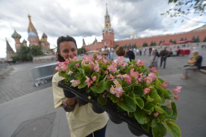 Москва. Подготовка к ежегодному фестивалю цветов в ГУМе.