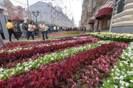 Москва. Подготовка к ежегодному фестивалю цветов в ГУМе.