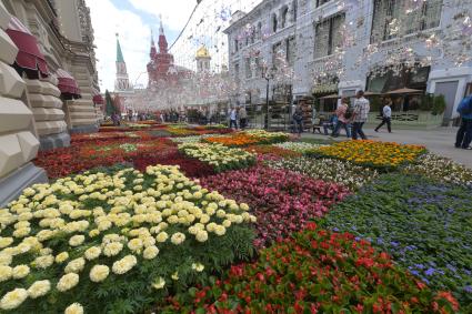 Москва. На ежегодном фестивале цветов в ГУМе.