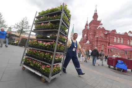 Москва. Подготовка к ежегодному фестивалю цветов в ГУМе.