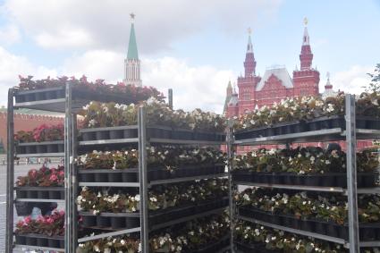 Москва. Подготовка к ежегодному фестивалю цветов в ГУМе.