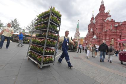 Москва. Подготовка к ежегодному фестивалю цветов в ГУМе.