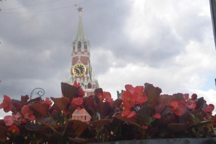 Москва. Подготовка к ежегодному фестивалю цветов в ГУМе.