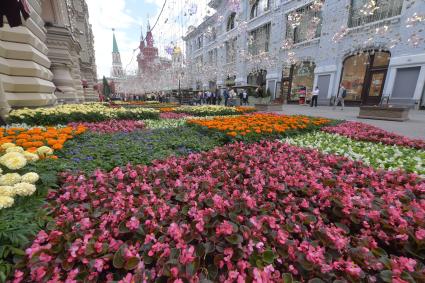 Москва. На ежегодном фестивале цветов в ГУМе.