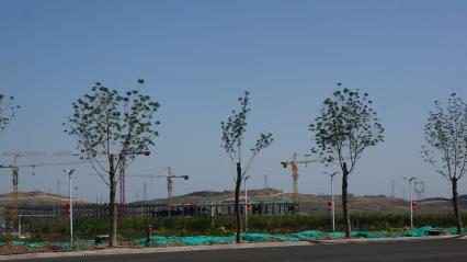 Китай, Урумчи. Строительные краны. A building field near ??r??mqi. Xinjiang Uygur Autonomous Region, China.