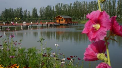 Китай, Аксу.  Домик на воде в парке.