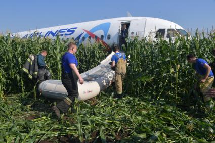 Московская область. Самолет Airbus A321 авиакомпании `Уральские авиалинии`, который совершил аварийную посадку в районе аэропорта Жуковский после возгорания двигателя при взлете.