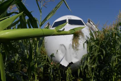 Московская область. Самолет Airbus A321 авиакомпании `Уральские авиалинии`, который совершил аварийную посадку в районе аэропорта Жуковский после возгорания двигателя при взлете.