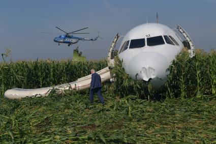 Московская область. Самолет Airbus A321 авиакомпании `Уральские авиалинии`, который совершил аварийную посадку в районе аэропорта Жуковский после возгорания двигателя при взлете.
