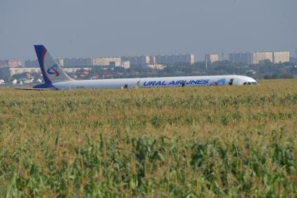 Московская область.  Самолет Airbus A321 авиакомпании `Уральские авиалинии`, который совершил аварийную посадку в районе аэропорта Жуковский после возгорания двигателя при взлете.